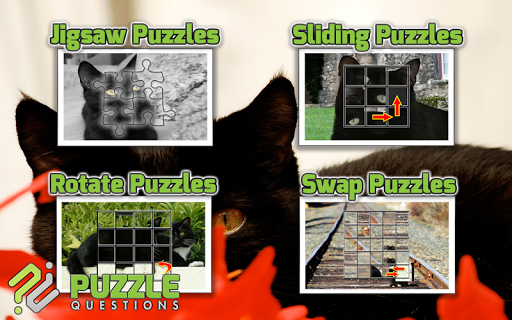 【免費解謎App】Black Cats Puzzle Games-APP點子