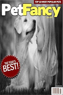 How to mod Magazine Cover Frame DIY 1.1 apk for laptop
