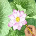 Draw Flowers Apk