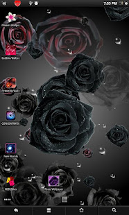 Roses live wallpaper(圖5)-速報App