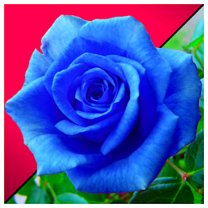 Background Replacer.apk 1.0.4