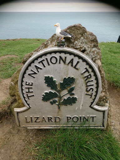 The Lizard Point