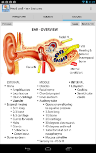 Head and Neck Lectures(圖6)-速報App