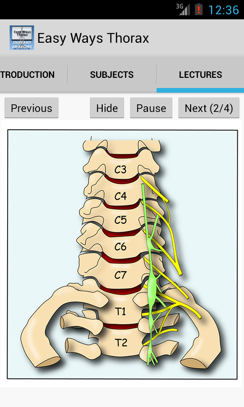 Easy Ways Thorax Screen 2
