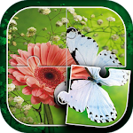 Butterfly Jigsaw Puzzle Apk
