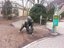 Brookfield Zoo Gorilla 
