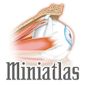 Miniatlas Ophthalmology