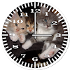 Cat 3 Kittens Analog Clock