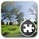 Lightning Bug - Country Pack icon
