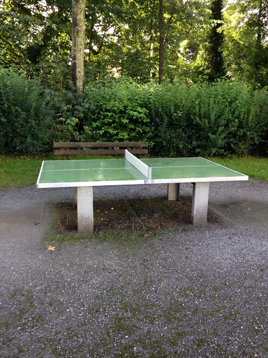 Table De Ping Pong