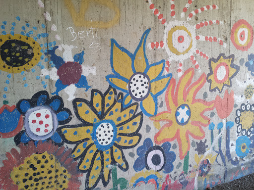 Flowers Under the Street