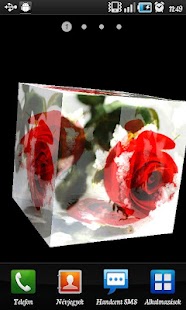 Frozen Rose