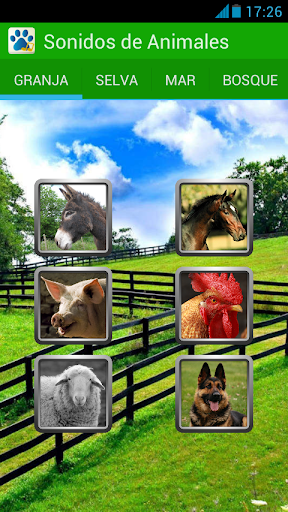Animals sounds with pictures
