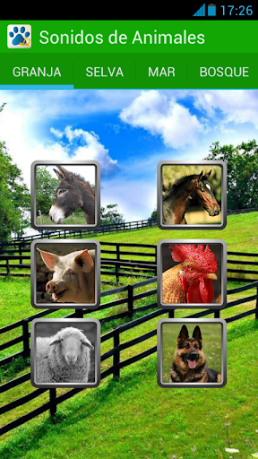 【免費娛樂App】Sonidos Animales con imagenes-APP點子