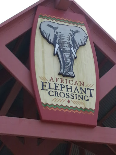 African Elephant Crossing