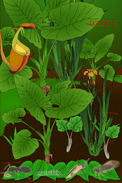 Find Hidden Stuff Game: Insect poster 1