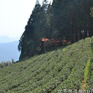山上人家森林農場