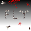 Fly on Live Wallpaper Game