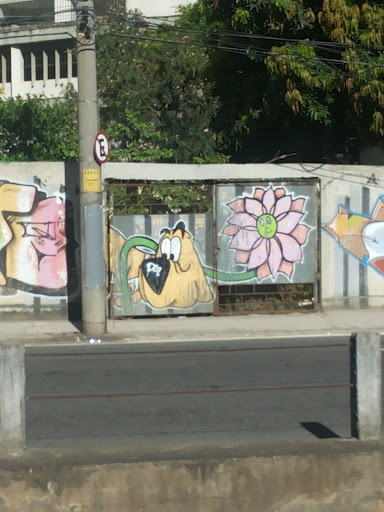 Arte De Rua O Cachorro E A Flor