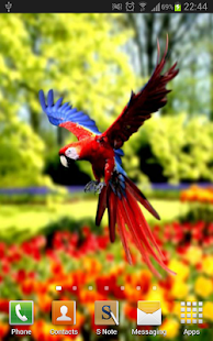 Amazing Parrots Wallpapers(圖5)-速報App