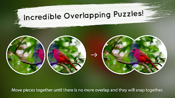 Venn Birds: Circle Jigsaw APK 螢幕截圖圖片 #2