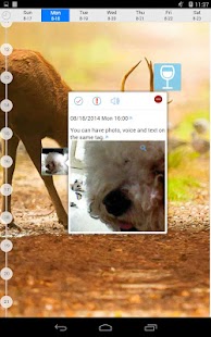 Weekly Grid Screenshots 14