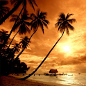 Sunset logo