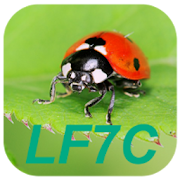 LF7C "Loto Foot" Calculator  Icon