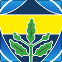 Fenerbahce - Football mobile app icon