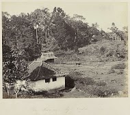 Bron Tissipan bij Gadok