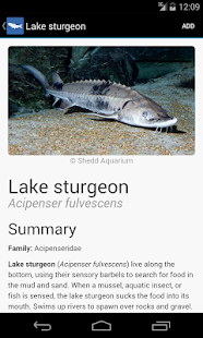 How to download Great Lakes Fish Finder 1.3.3 mod apk for laptop