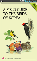 Birds of Korea Pro poster 1