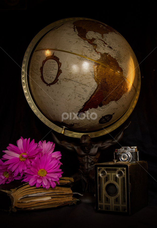Capturing life  by Tammy Arruda - Artistic Objects Still Life