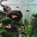 Aquarium Free Live Wallpaper icon