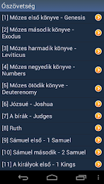 Hungarian Holy Bible poster 2