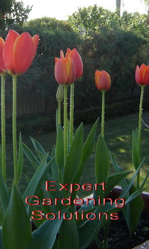 Expert Gardening Solutions