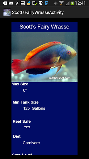 Reef Aquarium Fish Guide
