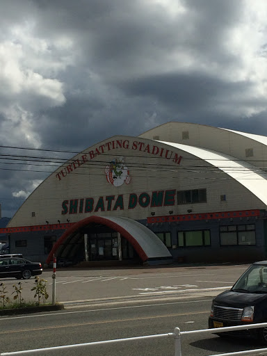shibata dome