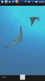 Manta Live Wallpaper(圖2)-速報App