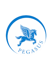 Pegasus Limo poster 1