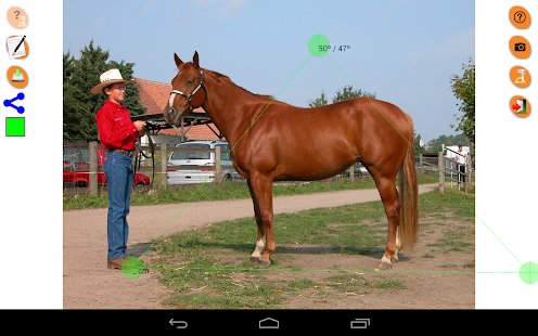 Horse Conformation Screenshots 0