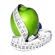 Weight Loss Widget