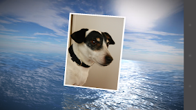 PhotoFlight Slideshow FREE