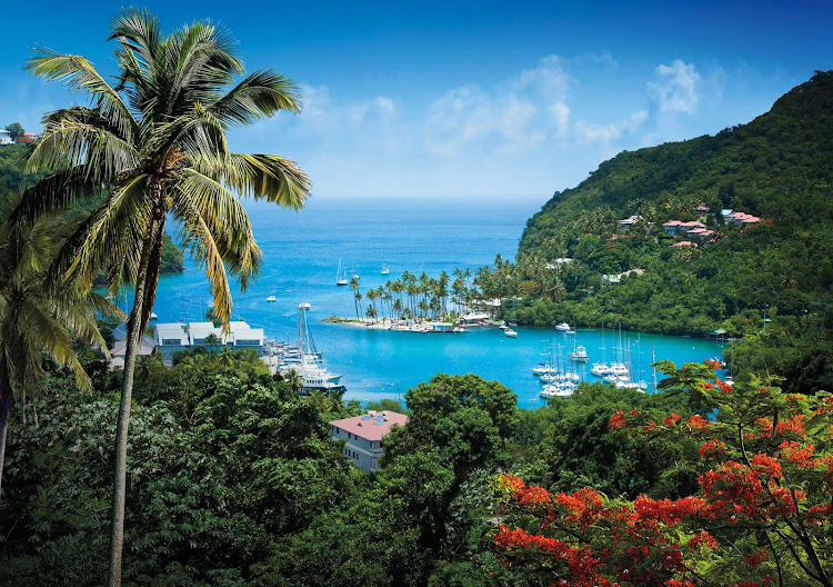 Marigot Bay on the Caribbean island nation of St. Lucia.