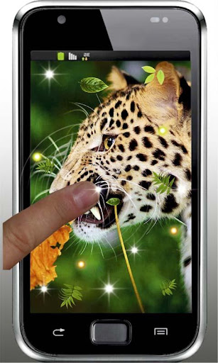 Jaguar Top live wallpaper