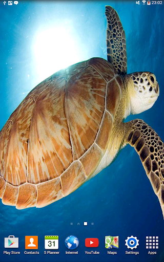 Sea Turtle Live Wallpaper