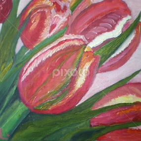 tulips by Dubravka Bednaršek - Painting All Painting