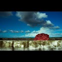The Rain Live Wallpaper LWP logo
