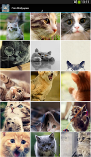 How to download Cats Wallpapers lastet apk for laptop