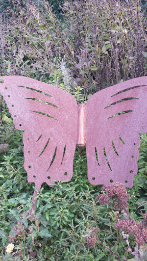 Butterfly Artwork